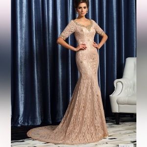 Long elegant Champagne Gown with tag